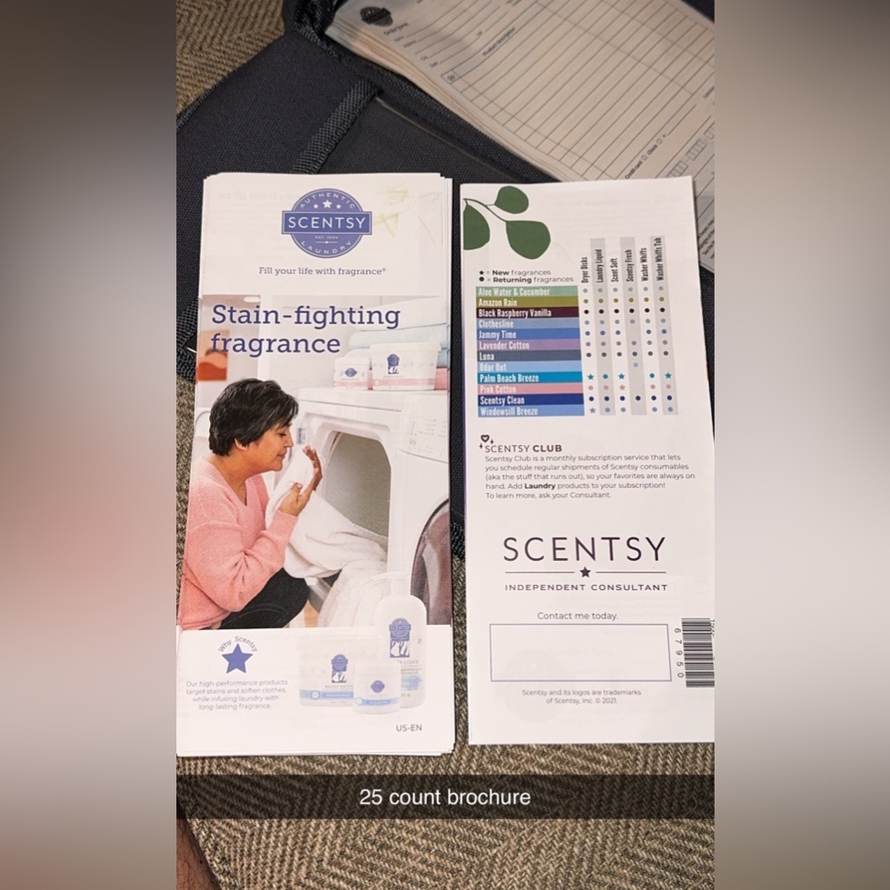 BUNDLE Scentsy Home Consultant Representative Gray Organizer Tote Bag/Brochures - Picture 5 of 8